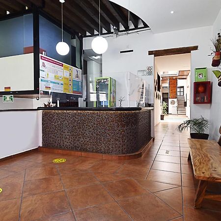 Mexico City Hostel Екстер'єр фото